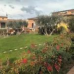 New * Lazise
